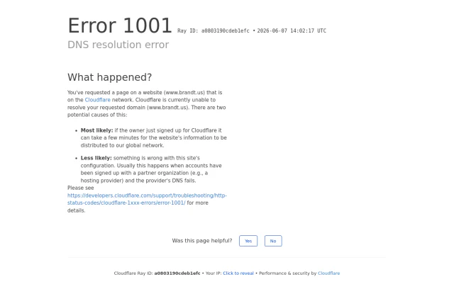 Example of a broken business website